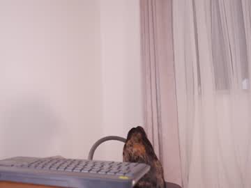 girl
        _lasuescun cam image #3911434
