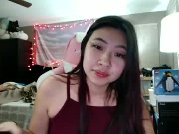 girl
        hiddenr0se cam image #445201