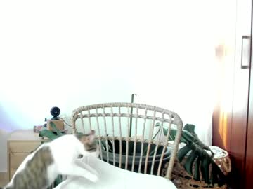 girl
        grettabenett_ cam image #5233114