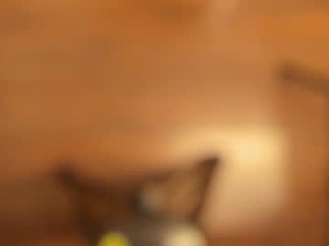 girl
        aimeerogers cam image #1319939