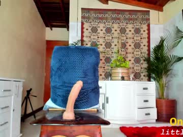 girl
        little_izzi cam image #1412832
