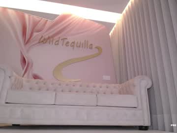 girl
        wildtequilla cam image #4808613