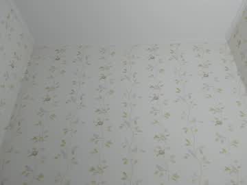 girl
        brittany_bird cam image #4924952