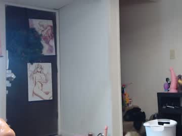 girl
        animergamergirl cam image #2270394