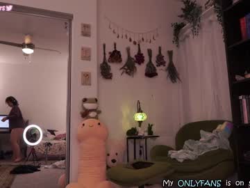 girl
        evelynpiers cam image #1032720