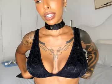 girl
        kaligray10 cam image #5879112