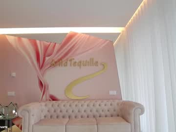 girl
        wildtequilla cam image #5021571