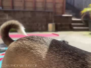 girl
        phoenix_taylor cam image #6295739