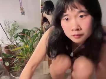 girl
        chiloschista cam image #6111234
