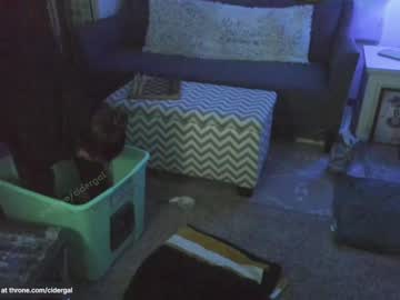girl
        cidergal69 cam image #5499841