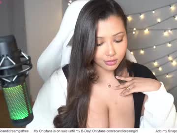 girl
        scandidreamgirl cam image #6345728