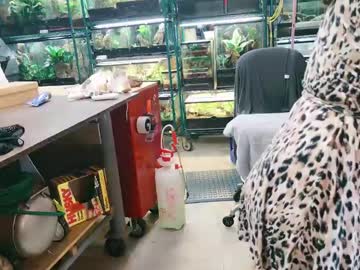 couple
        wifen_heels cam image #5140767