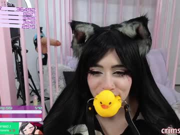 girl
        crimsonkitten cam image #5840078