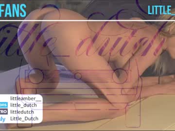 girl
        little_dutch cam image #600210
