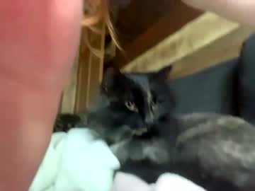 girl
        vcielia cam image #1556327