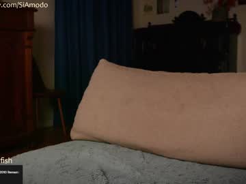 girl
        siamodo cam image #1215351
