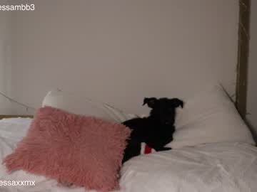 girl
        xvno cam image #2462450