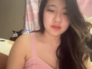 girl
        hiddenr0se cam image #4338340