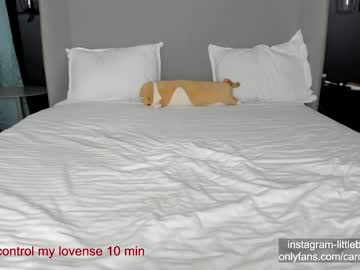 girl
        carolinaherera cam image #3808880