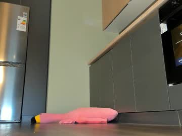 girl
        yee_rimm cam image #6182401
