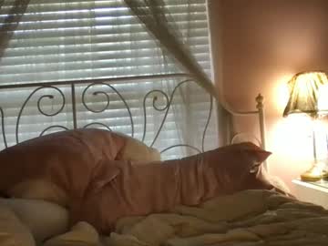 girl
        starletxx cam image #2543936