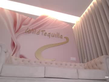 girl
        wildtequilla cam image #5003368